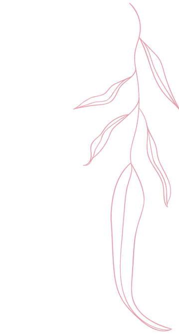 shape